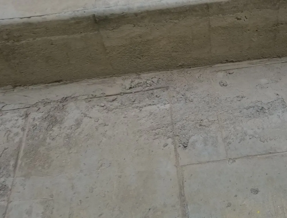 Reliable yard maintenance experts serving Des Plaines, IL - Brancato Landscaping