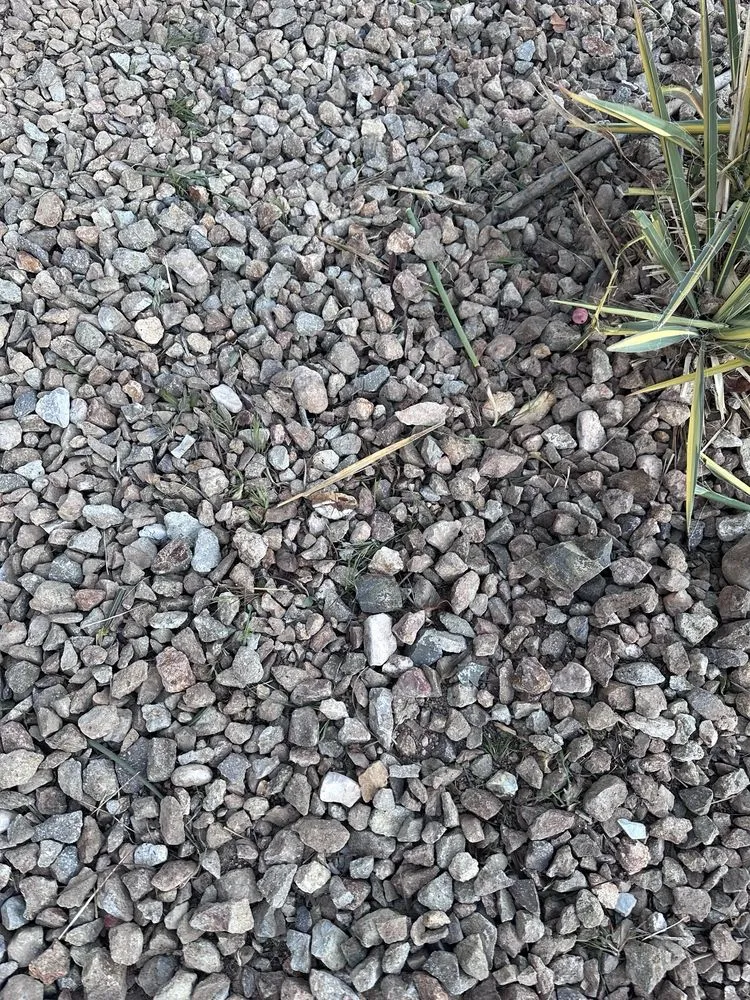 Affordable landscape design experts serving Las Vegas, NV - Branch & L Trees & Landscape