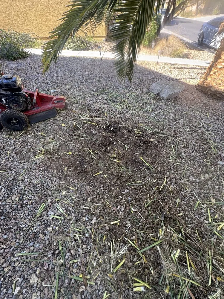 Local garden landscaping in Las Vegas, NV by Branch & L Trees & Landscape