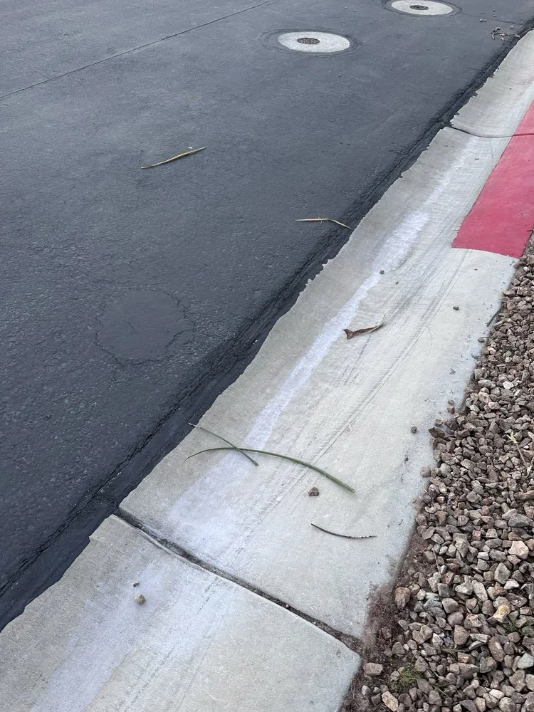 Local landscape installation with custom design in Las Vegas, NV by Branch & L Trees & Landscape