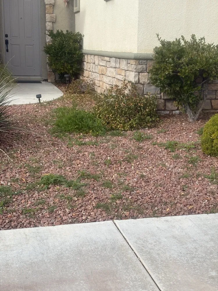 Affordable residential landscaping for year-round maintenance in Las Vegas, NV by Branch & L Trees & Landscape