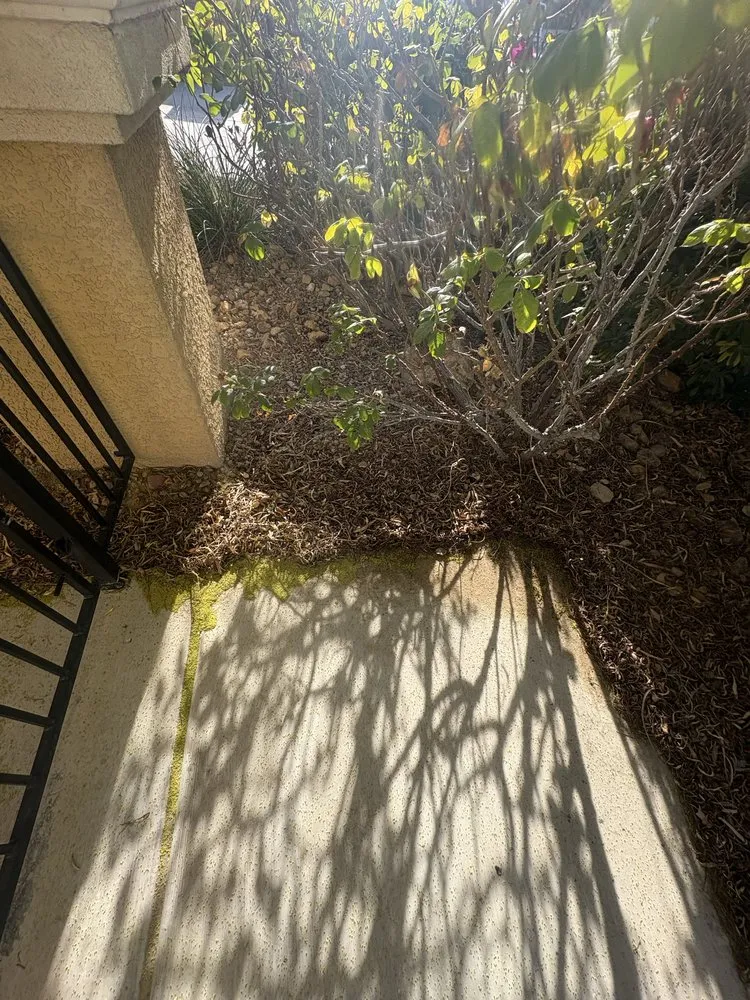 Reliable landscape design for outdoor upgrades across Las Vegas, NV - Branch & L Trees & Landscape