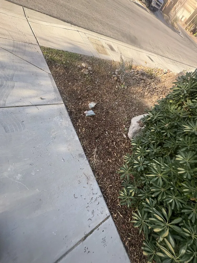 Local garden landscaping in Las Vegas, NV - Branch & L Trees & Landscape