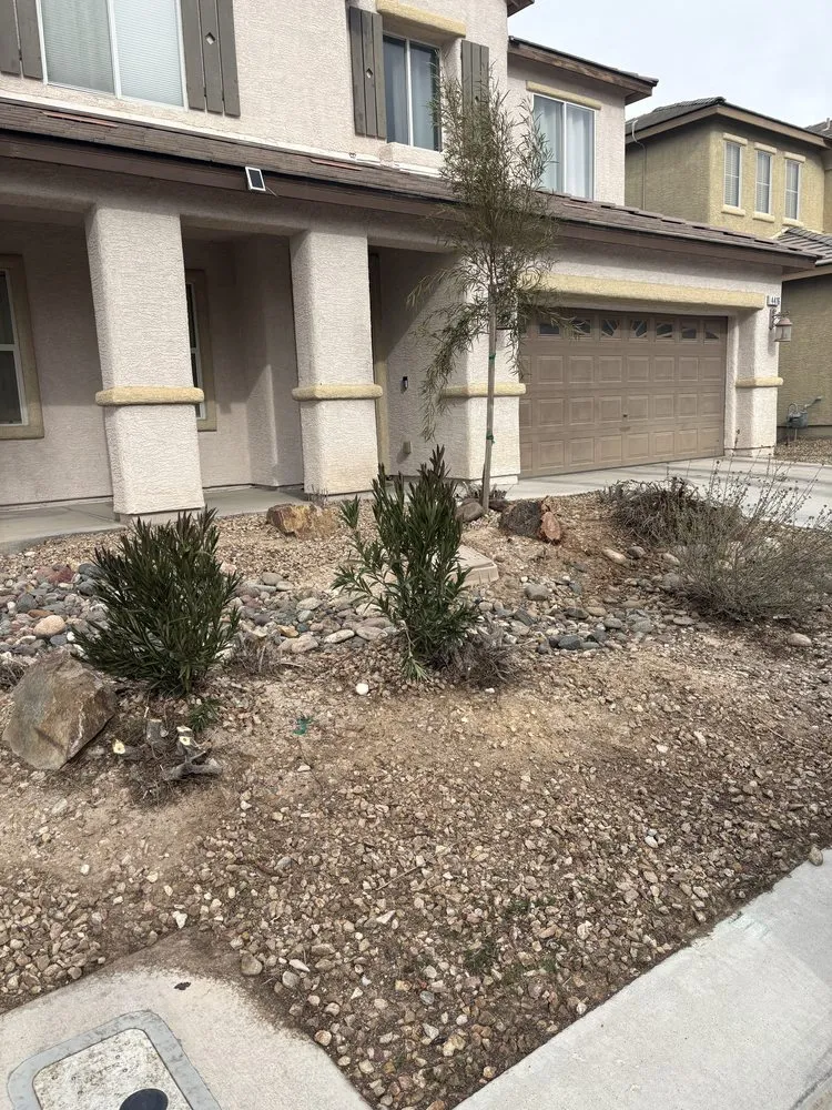 Reliable yard cleanup service in Las Vegas, NV - Branch & L Trees & Landscape