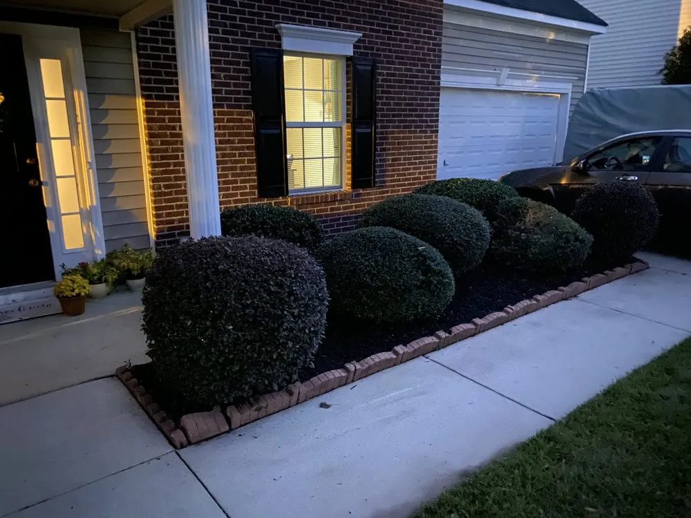 Expert landscaping services for homes in Elgin, SC by Branch Boys Lawn Service
