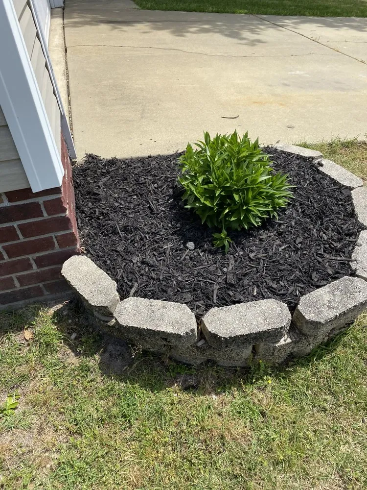 Custom landscape design experts serving Elgin, SC - Branch Boys Lawn Service