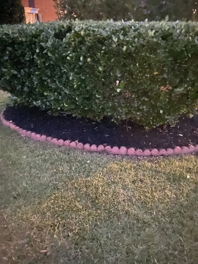 Reliable yard cleanup service experts serving Elgin, SC - Branch Boys Lawn Service