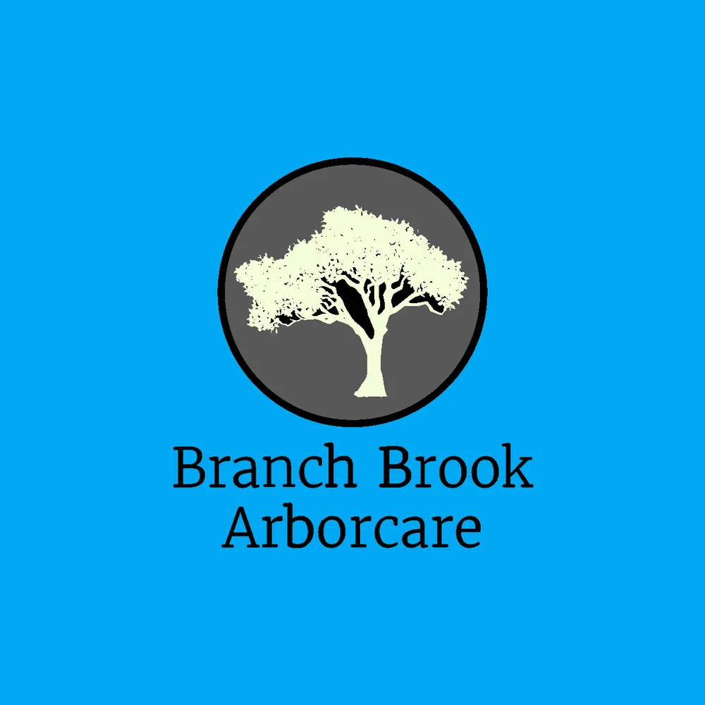 Expert lawn mowing service in West Charleston, VT - Branch Brook Arborcare