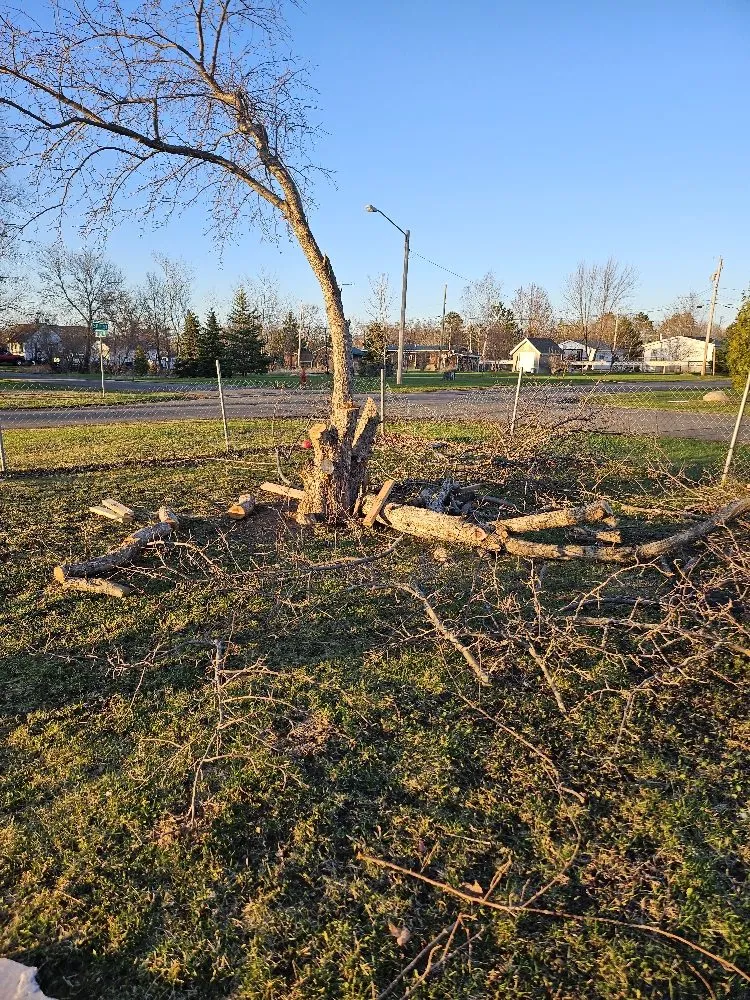 Custom outdoor landscaping experts serving Hibbing, MN - Branch Busters