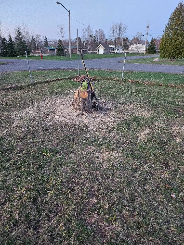 Top-rated yard maintenance with custom design across Hibbing, MN - Branch Busters