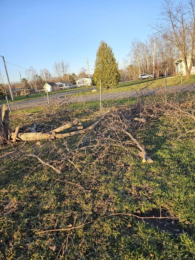 Professional lawn care service for year-round maintenance in Hibbing, MN by Branch Busters