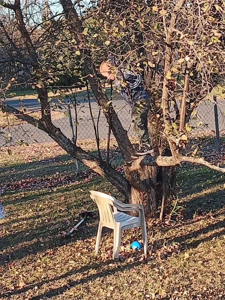 Trusted outdoor landscaping for beautiful yards across Hibbing, MN - Branch Busters