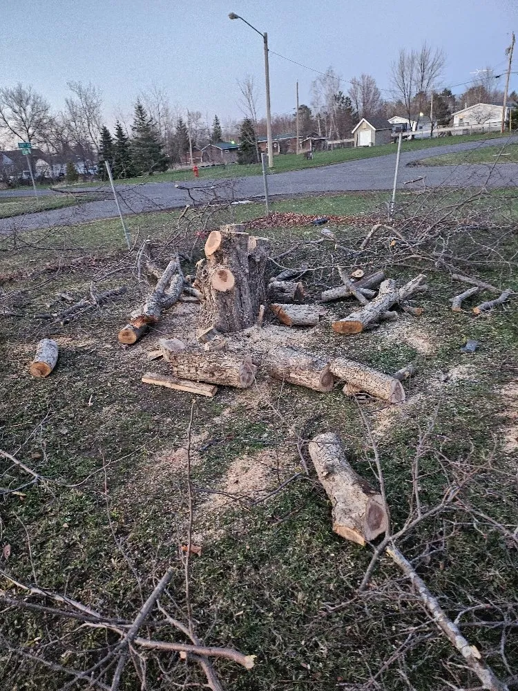 Reliable landscape design in Hibbing, MN by Branch Busters