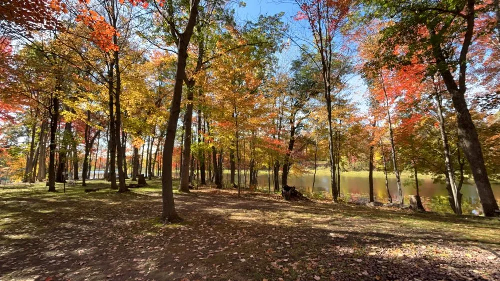 Expert landscaping services for residential properties in North Branch, MN by Branch Busters