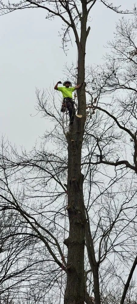 Affordable lawn care service for year-round maintenance across North Branch, MN - Branch Busters