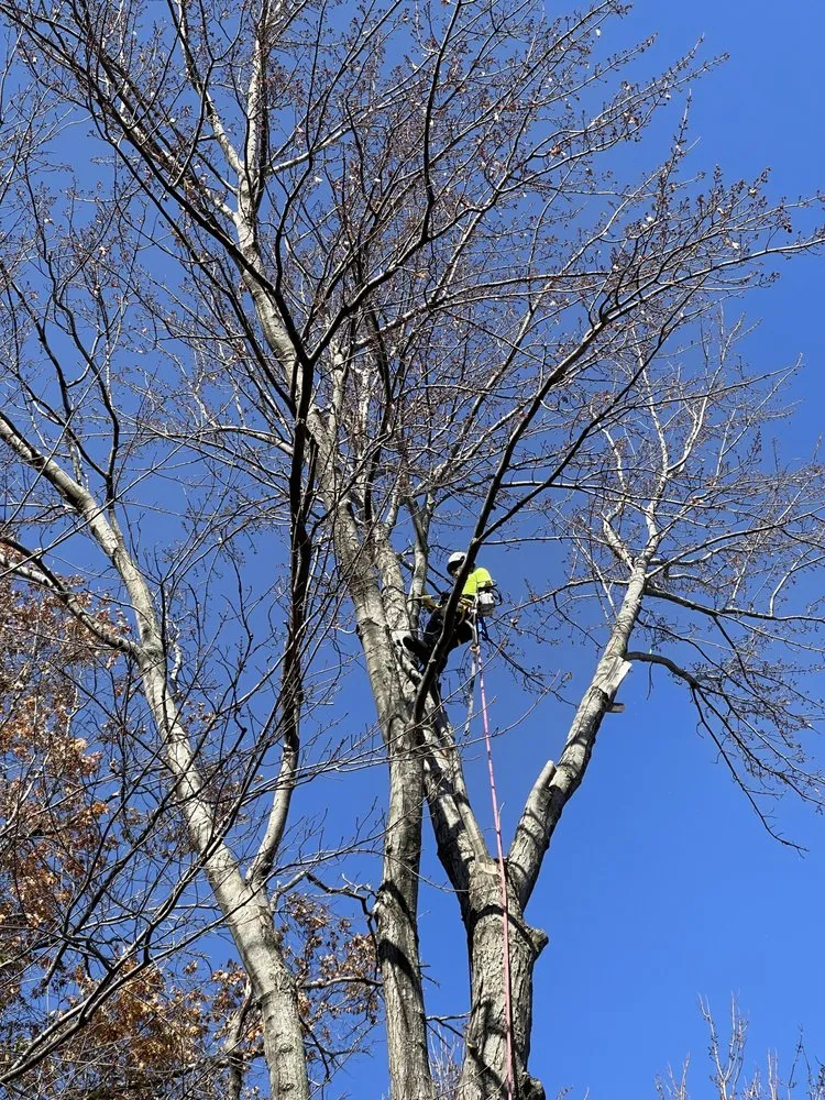 Expert yard maintenance experts serving North Branch, MN - Branch Busters