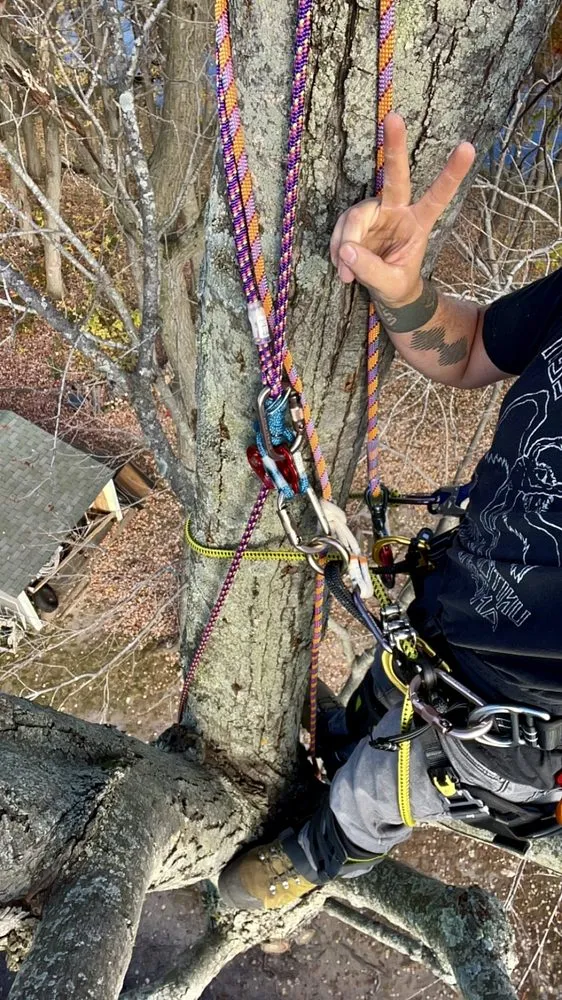 Trusted yard cleanup service near you across North Branch, MN - Branch Busters