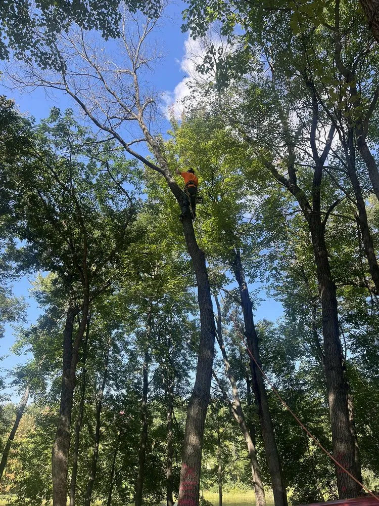 Reliable lawn mowing service for beautiful yards in North Branch, MN by Branch Busters