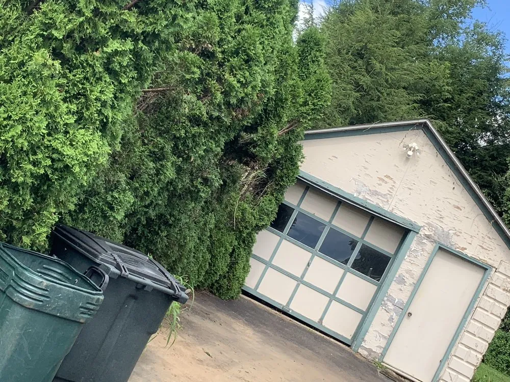 Local yard maintenance in Hughesville, PA by Branch Hands Tree Service & General Contracting