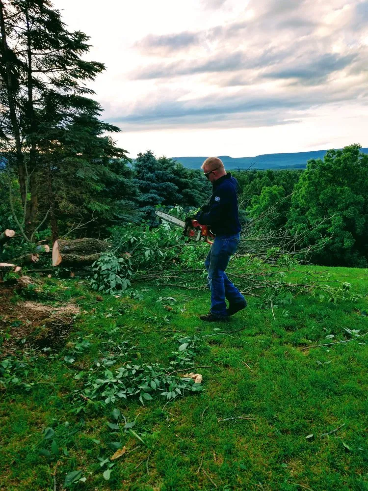 Trusted outdoor landscaping in Hughesville, PA - Branch Hands Tree Service & General Contracting