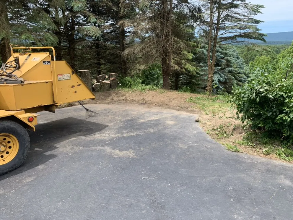 Reliable yard maintenance for homes across Hughesville, PA - Branch Hands Tree Service & General Contracting