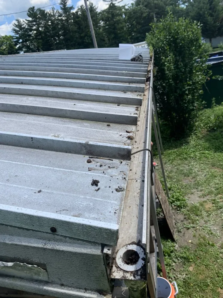 Top-rated yard maintenance in Hughesville, PA by Branch Hands Tree Service & General Contracting