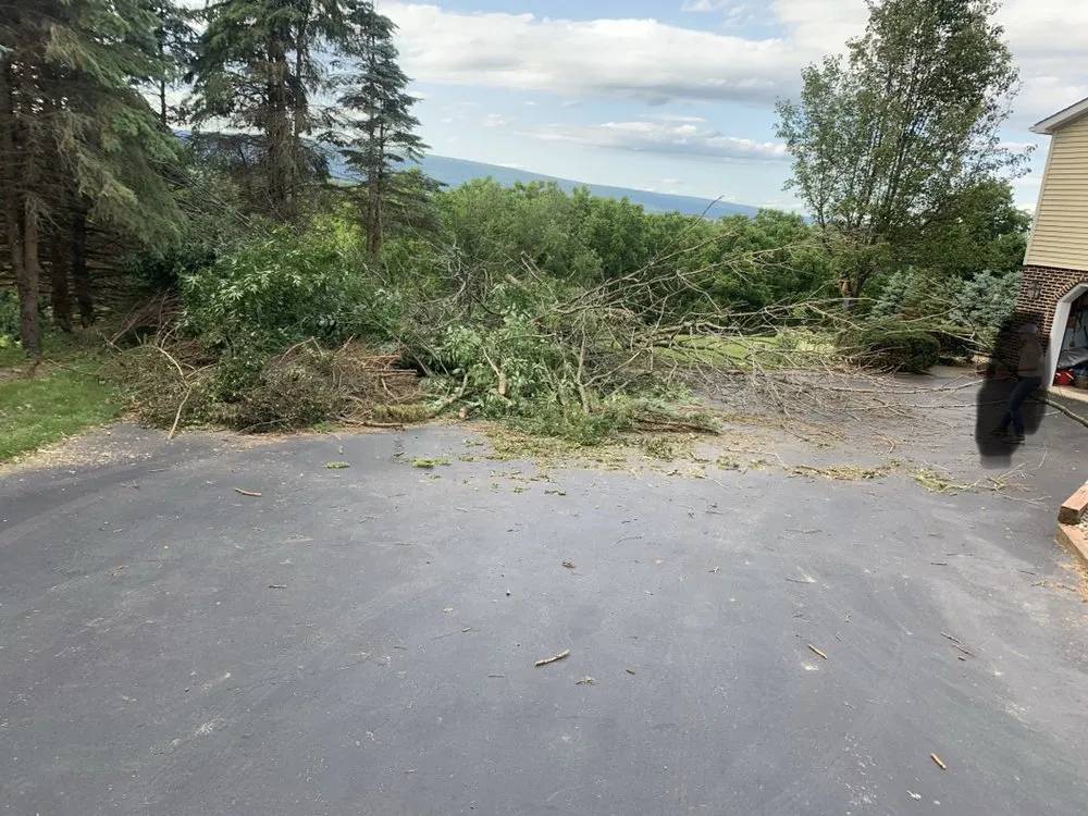 Reliable lawn care service in Hughesville, PA by Branch Hands Tree Service & General Contracting