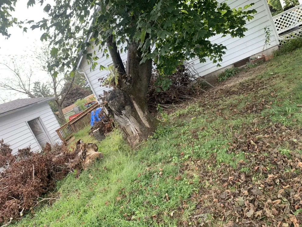 Custom garden landscaping for year-round maintenance across Hughesville, PA - Branch Hands Tree Service & General Contracting