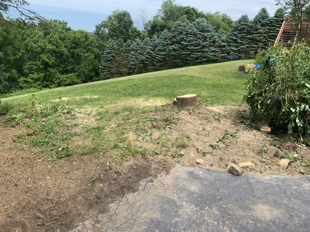 Custom garden landscaping experts serving Hughesville, PA - Branch Hands Tree Service & General Contracting