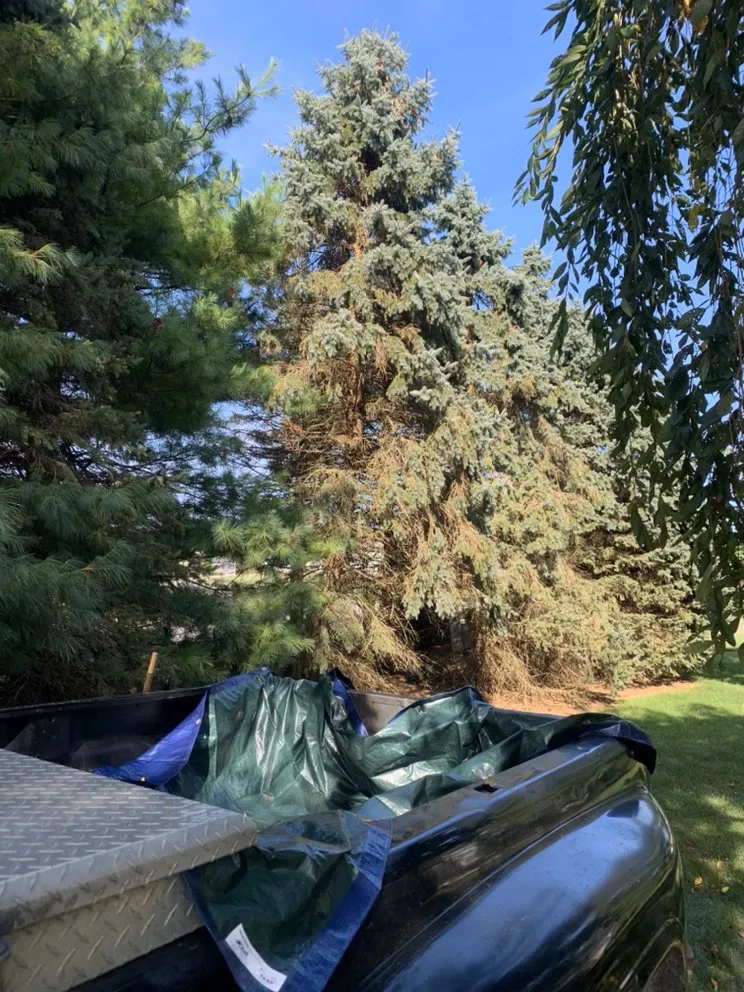 Expert landscape design for homes in Hughesville, PA by Branch Hands Tree Service & General Contracting