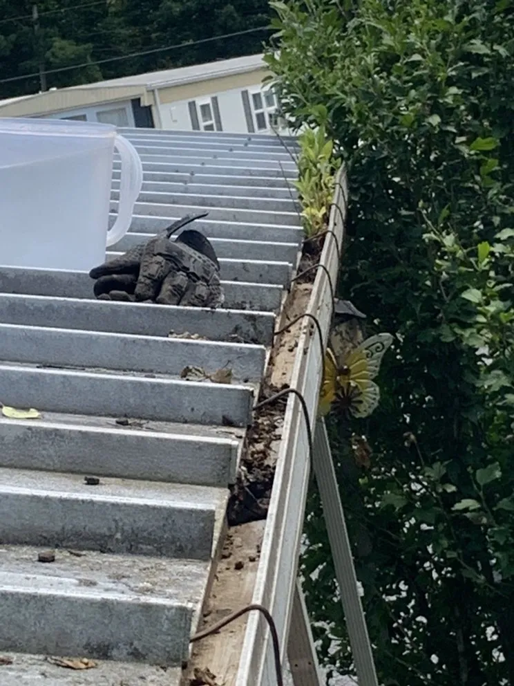 Custom landscaping services in Hughesville, PA - Branch Hands Tree Service & General Contracting