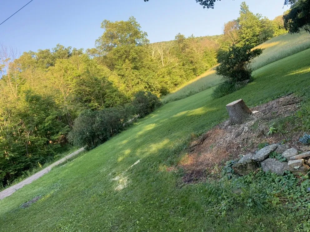 Expert lawn mowing service near you in Hughesville, PA by Branch Hands Tree Service & General Contracting