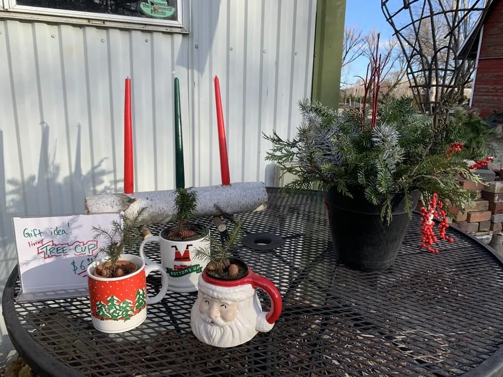 Professional lawn mowing service for homes in North Branch, MN by Branch Landscape Nursery