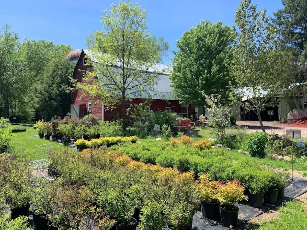 Top-rated outdoor landscaping in North Branch, MN - Branch Landscape Nursery