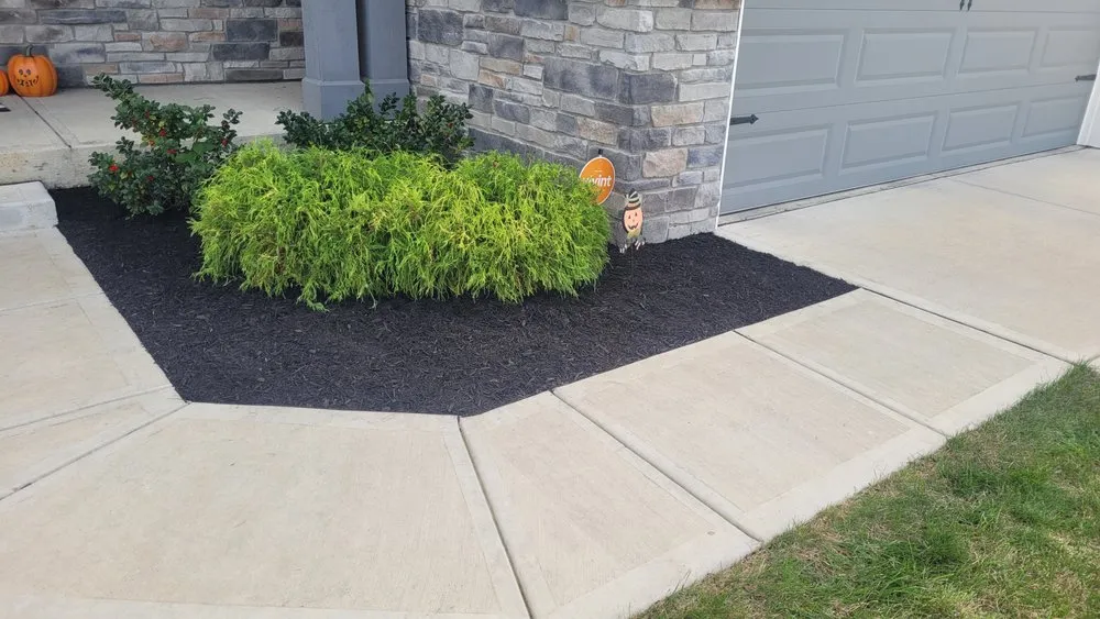 Reliable landscaping services in Indianapolis, IN - Branch Landscaping