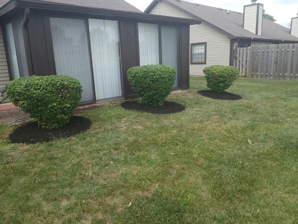 Professional yard maintenance experts serving Indianapolis, IN - Branch Landscaping