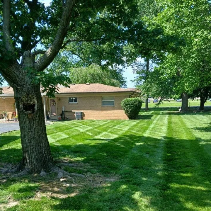 Trusted garden landscaping for homes across Indianapolis, IN - Branch Landscaping