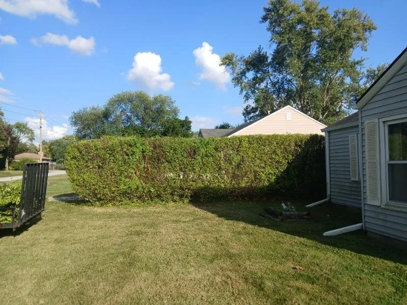 Trusted garden landscaping for residential properties across Indianapolis, IN - Branch Landscaping
