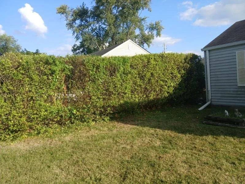 Top-rated landscape design in Indianapolis, IN - Branch Landscaping