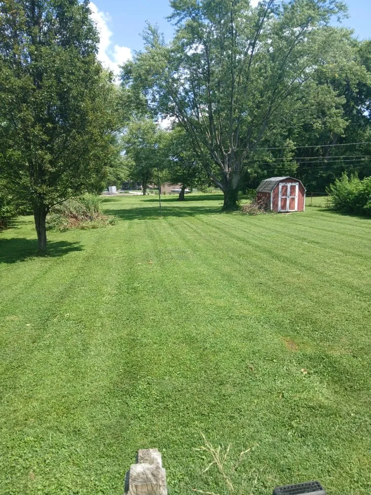 Local yard maintenance in Indianapolis, IN by Branch Landscaping