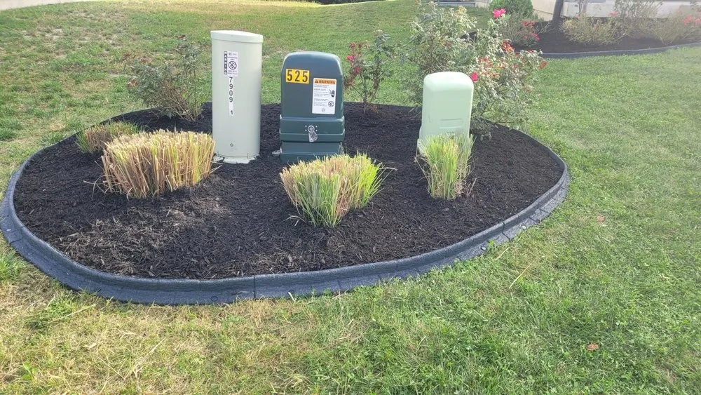 Affordable lawn care service in Indianapolis, IN - Branch Landscaping