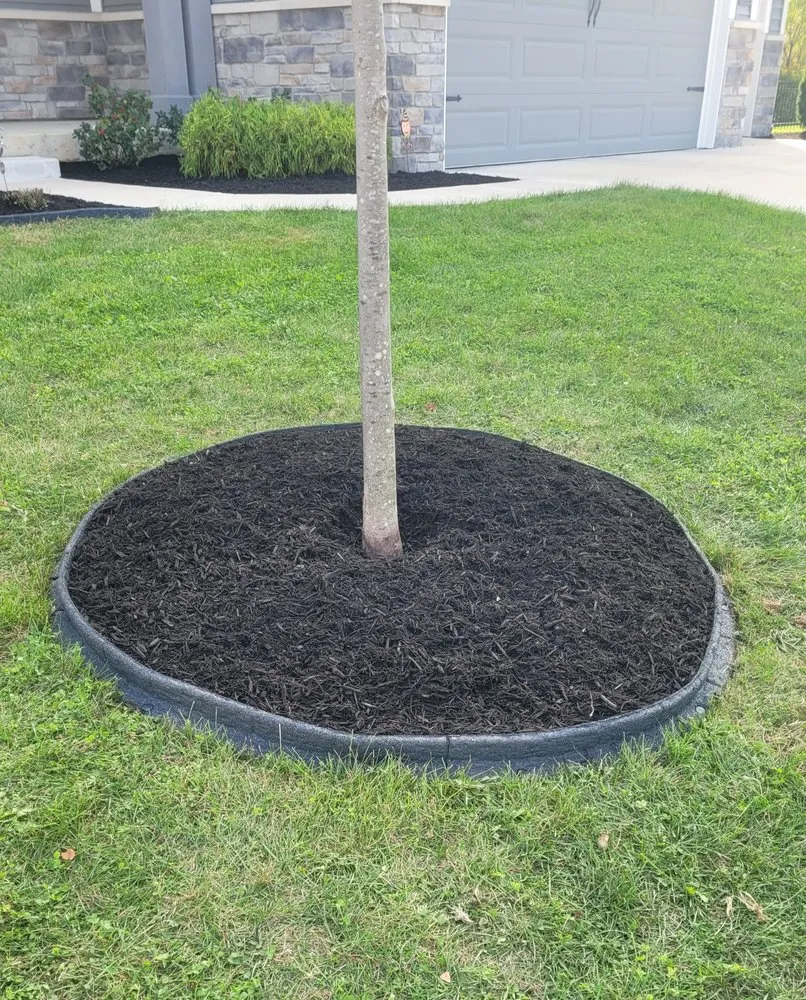 Top-rated landscaping services in Indianapolis, IN by Branch Landscaping