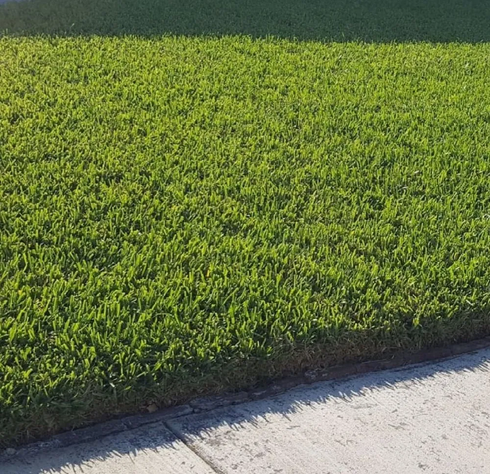 Trusted residential landscaping experts serving Miami, FL - Branch Lawn Care Inc.