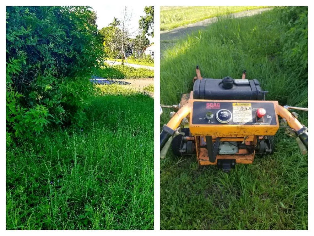 Professional garden landscaping in Miami, FL by Branch Lawn Care Inc.