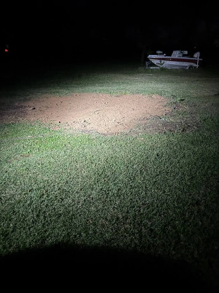 Trusted yard cleanup service in Brazoria, TX - Branch Out Bros