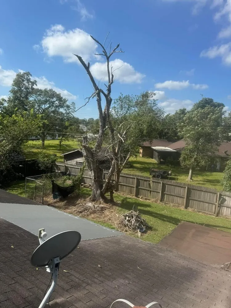 Custom yard maintenance experts serving Brazoria, TX - Branch Out Bros