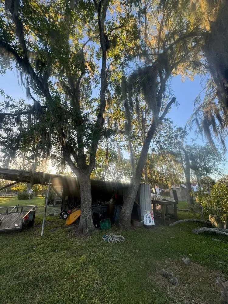 Affordable landscape installation for year-round maintenance across Brazoria, TX - Branch Out Bros