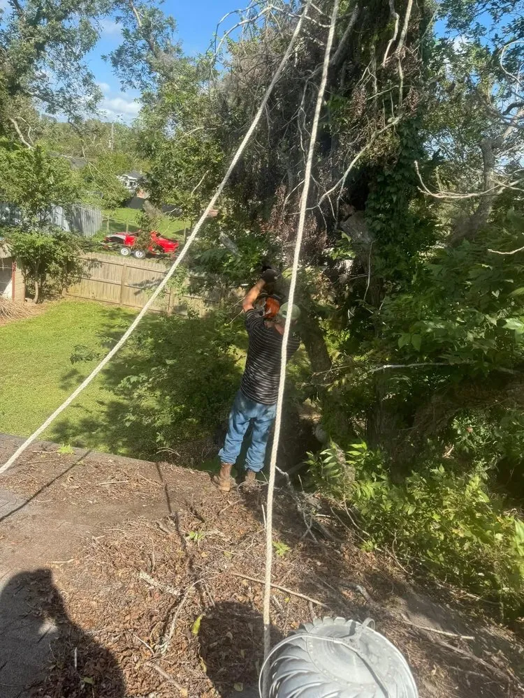 Custom landscaping services in Brazoria, TX - Branch Out Bros