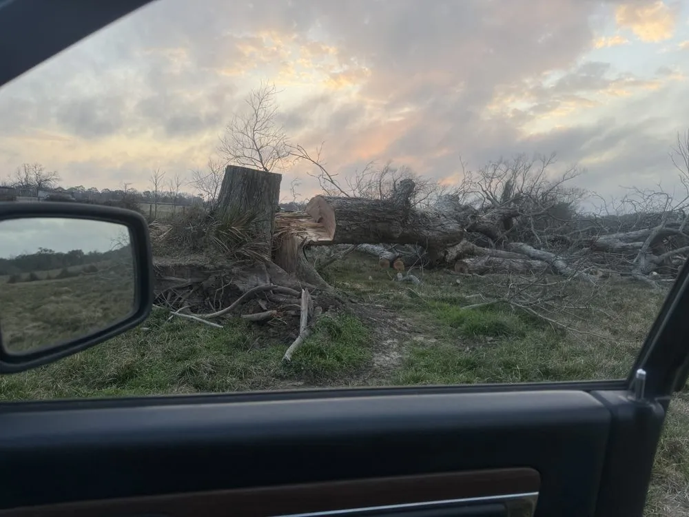 Trusted landscape installation in Brazoria, TX by Branch Out Bros