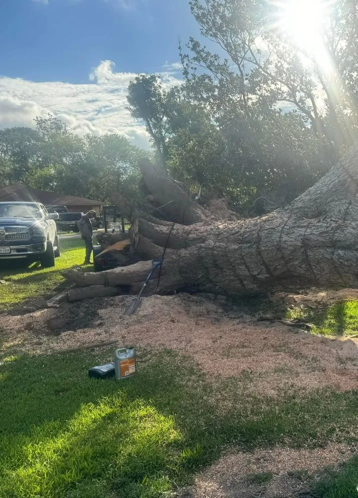 Affordable garden landscaping near you across Brazoria, TX - Branch Out Bros